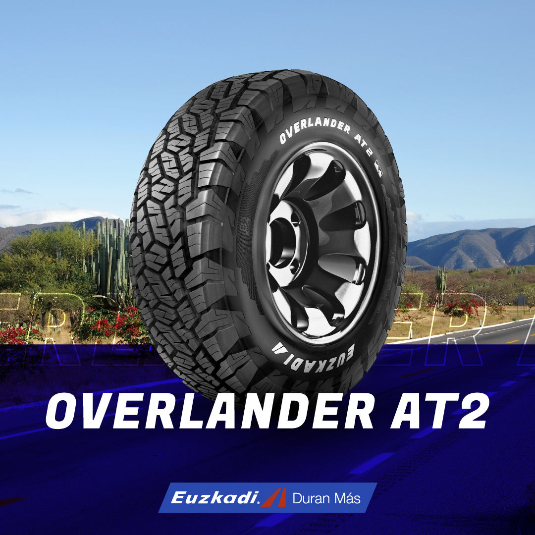 cq5dam.web.1280.1280 (4)