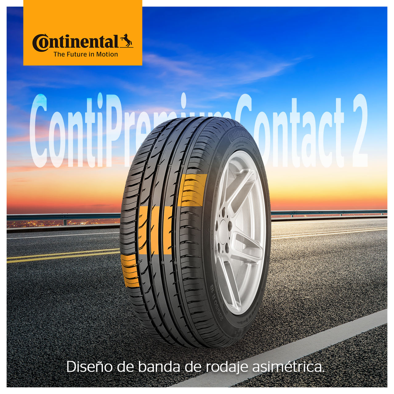 cq5dam.web.1280.1280 (8)